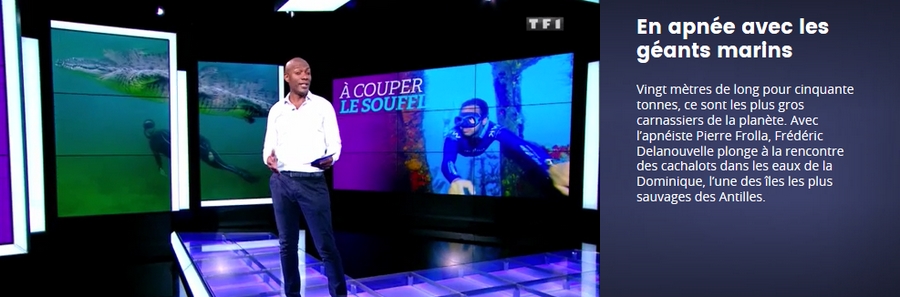 tf1 a la rencontre de