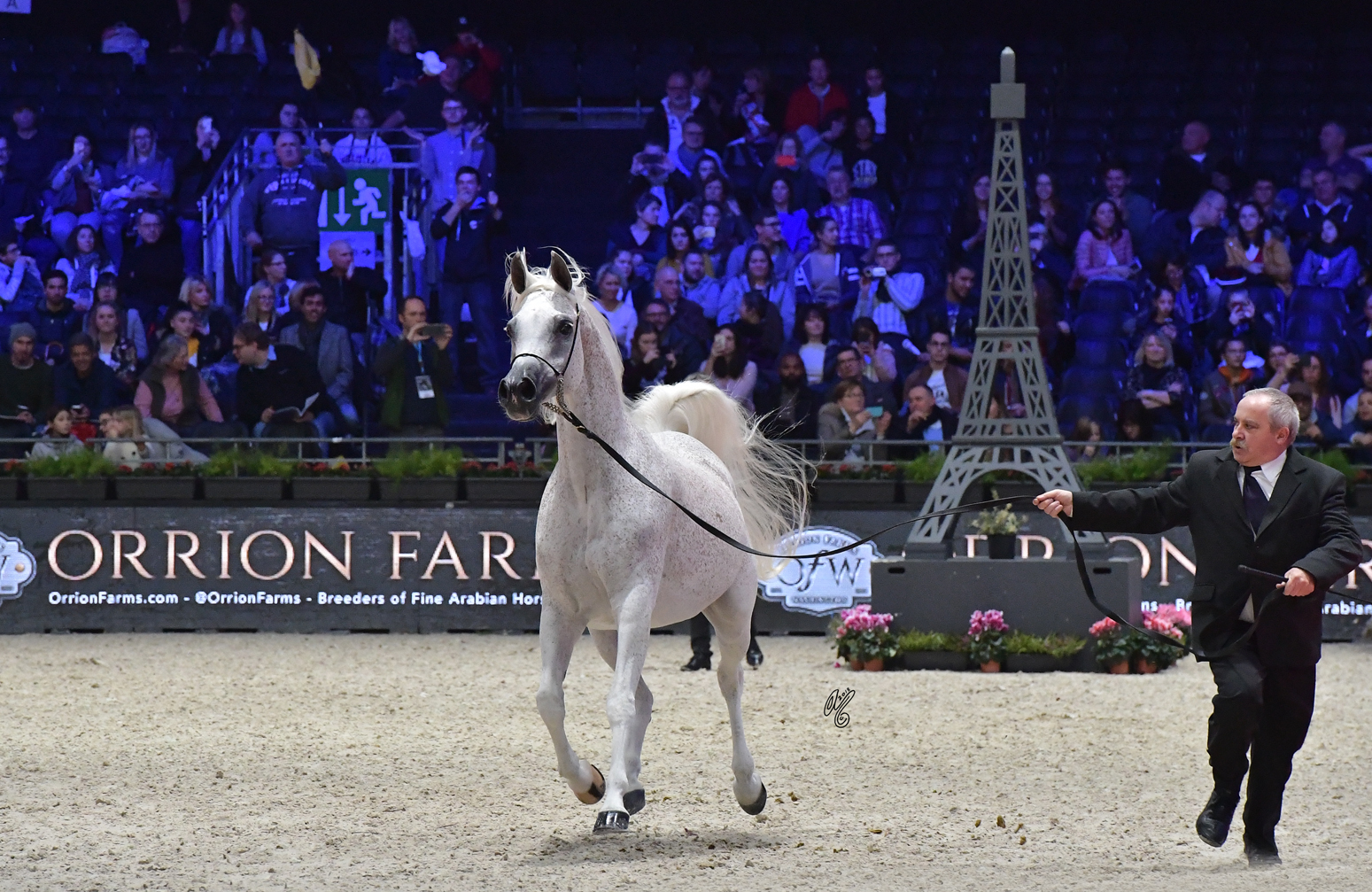 Invitation Presse 26 novembre Présentation Salon du Cheval de Paris